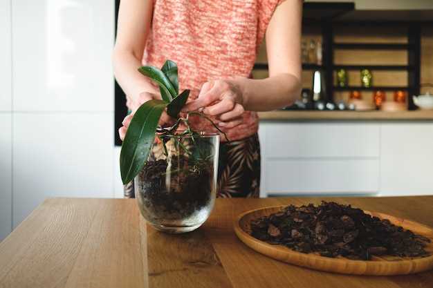 Как выращивать клубнику из семян в домашних условиях