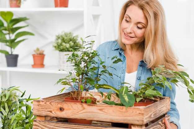 Выращивание черники в домашних условиях — полезные советы и рекомендации