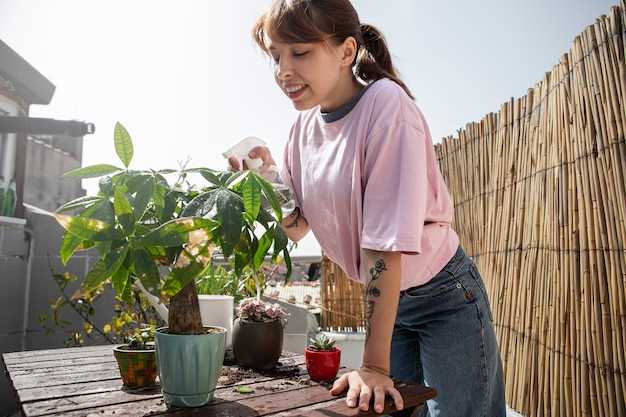 Культивация малины на балконе - ключи к урожайности для горожан