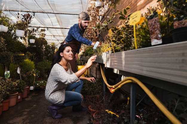 Выращивание малины на балконе - ключи к обильному урожаю