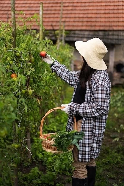 Удобрения для ягод: как получить богатый урожай на балконе и на даче