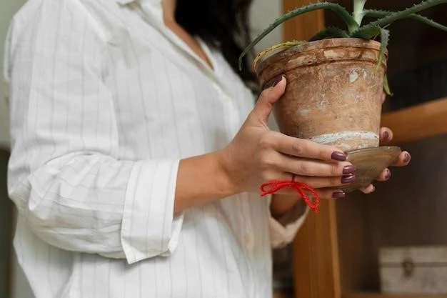 Клубника в горшке: пошаговое руководство по выращиванию ароматных ягод дома