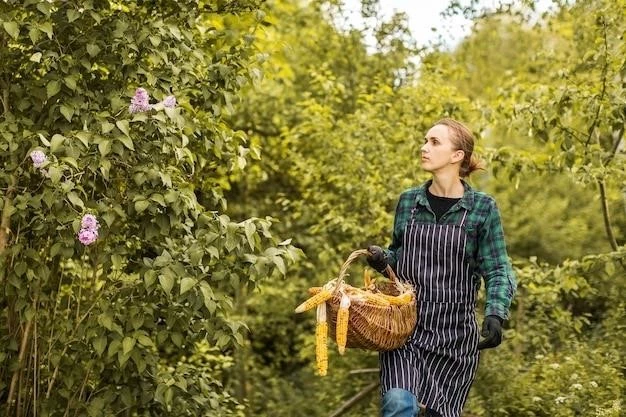 Выращиваем ароматную смородину дома: пошаговое руководство от опытной садоводницы