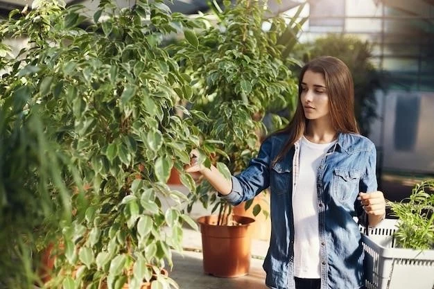 Лучшие советы по выращиванию голубики в горшках от заядлой дачницы