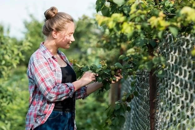 Выращивание винограда в горшках: советы и рекомендации