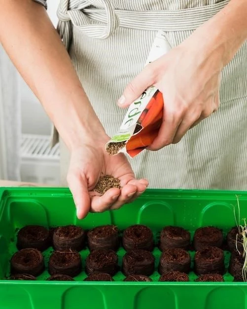 Удобрения для ягод в контейнерах: секреты обильного урожая