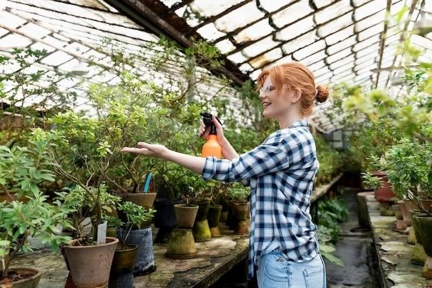Выращиваем ежевику в горшке: советы и секреты от опытной садоводки