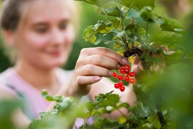 Секреты правильного освещения для богатого урожая ягод