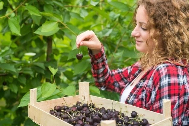Выбор контейнеров для выращивания ягод дома: советы от опытной любительницы