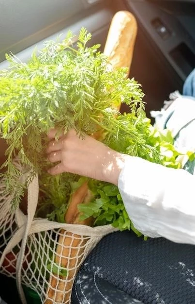 Выращивание крыжовника на подоконнике: пошаговое руководство от выбора сорта до сбора урожая