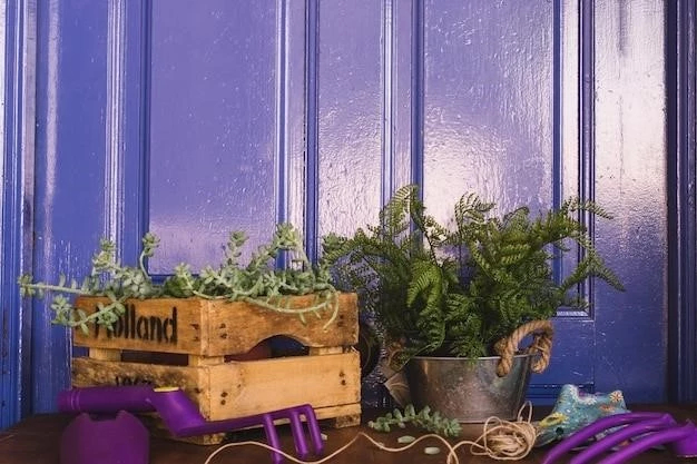 Секреты пышной голубики: выращивание в контейнерах для начинающих садоводов