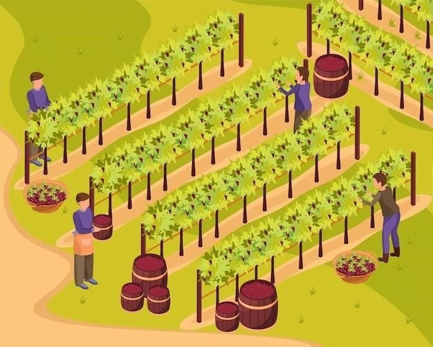 Выращивание винограда в контейнере: пошаговое руководство от выбора сорта до сбора урожая
