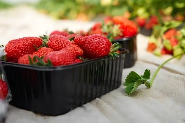 Клубничный рай на подоконнике: пошаговое руководство по выращиванию сладкой ягоды в домашних условиях