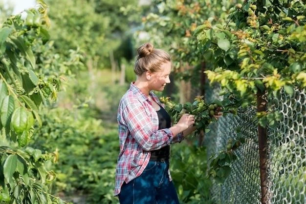 Выращивание крыжовника на подоконнике: пошаговое руководство от выбора сорта до сбора урожая