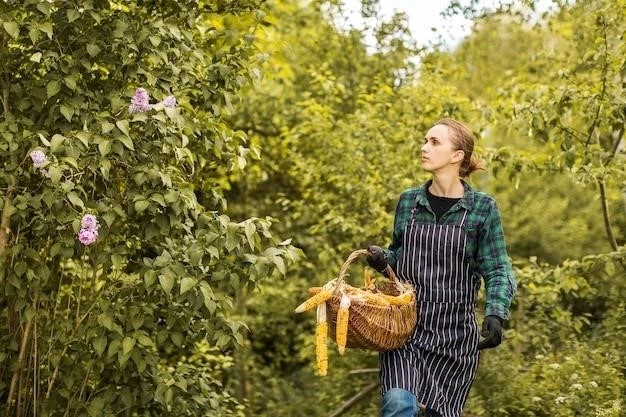 Выращивание смородины в кашпо: советы от опытной садоводницы