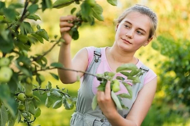 Обрезка винограда на балконе: пошаговая инструкция для начинающих