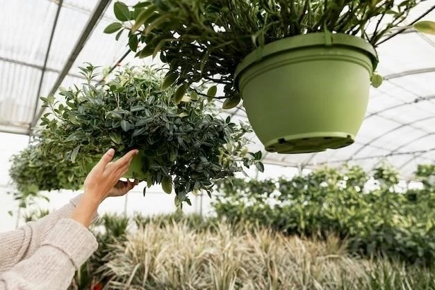 Как вырастить сладкую ежевику в подвесных горшках: советы от садоводки-любительницы