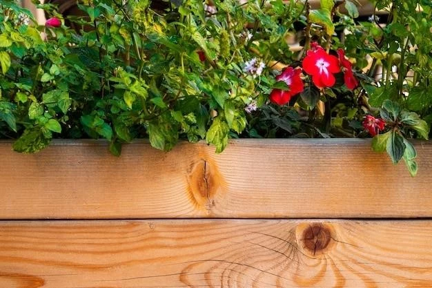 Смородина на балконе: пошаговое руководство по выращиванию в контейнере