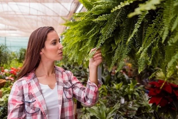 Секреты подкормки ягодных растений на балконе для богатого урожая