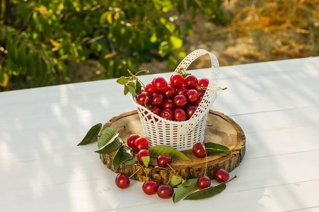 Малина на балконе: сладкие ягоды своими руками