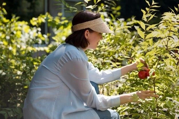 Секреты освещения: как выбрать идеальное место для посадки ягодных культур