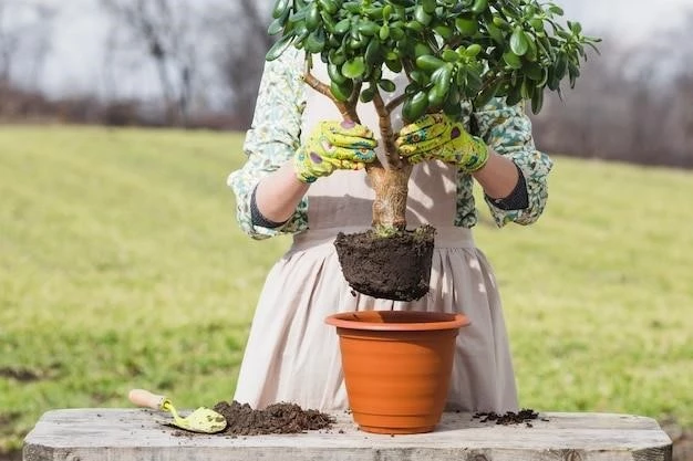 Выращивание черники в горшке: советы для начинающих садоводов