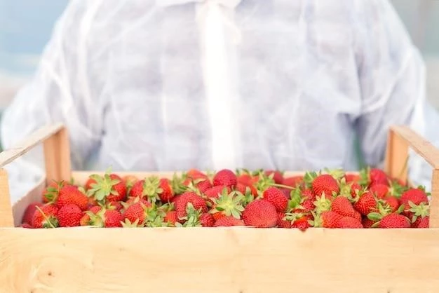 Клубника на подоконнике: пошаговое руководство по выращиванию ягод круглый год