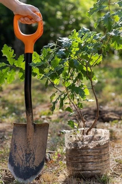 Пересадка винограда в горшке: пошаговая инструкция для начинающих садоводов